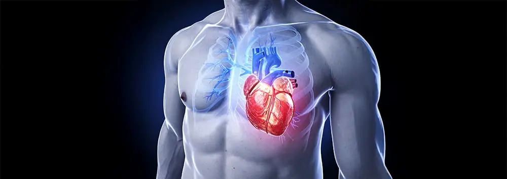 Arrêt cardiaque : causes principales et facteurs de risque à connaître